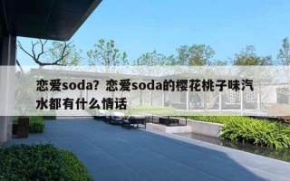 戀愛soda？戀愛soda的櫻花桃子味汽水都有什么情話