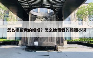 怎么挽留我的婚姻？怎么挽留我的婚姻小說