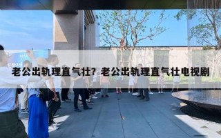 老公出軌理直氣壯？老公出軌理直氣壯電視劇