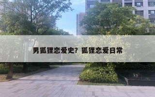 男狐貍戀愛史？狐貍戀愛日常