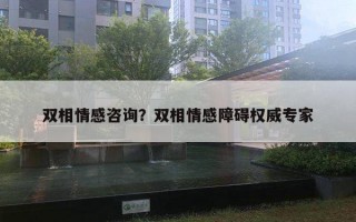 雙相情感咨詢？雙相情感障礙權(quán)威專家