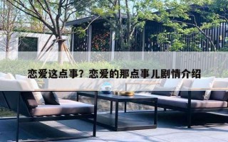 戀愛這點事？戀愛的那點事兒劇情介紹