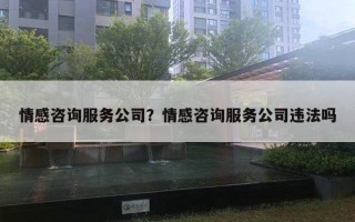 情感咨詢服務(wù)公司？情感咨詢服務(wù)公司違法嗎