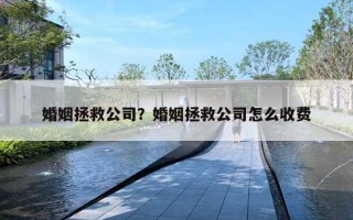 婚姻拯救公司？婚姻拯救公司怎么收費(fèi)