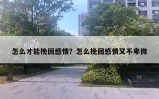 怎么才能挽回感情？怎么挽回感情又不卑微