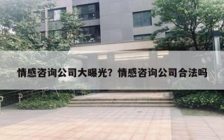 情感咨詢公司大曝光？情感咨詢公司合法嗎