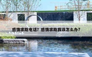 感情求助電話？感情求助我該怎么辦?