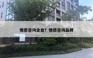 情感咨詢(xún)企業(yè)？情感咨詢(xún)品牌