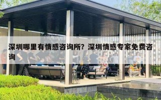 深圳哪里有情感咨詢所？深圳情感專家免費咨詢