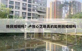 挽回婚姻嗎？盧悅心之助真的能挽回婚姻嗎