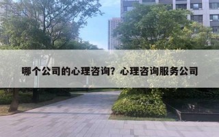 哪個(gè)公司的心理咨詢？心理咨詢服務(wù)公司