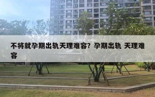 不將就孕期出軌天理難容？孕期出軌 天理難容