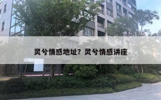 靈兮情感地址？靈兮情感講座