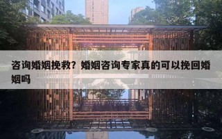 咨詢婚姻挽救？婚姻咨詢專家真的可以挽回婚姻嗎