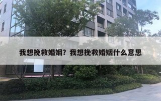 我想挽救婚姻？我想挽救婚姻什么意思