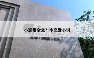 小戀愛全文？小戀愛小說