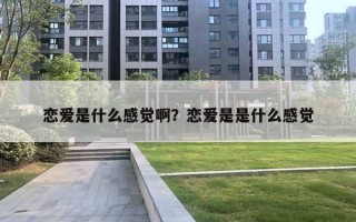 戀愛是什么感覺?。繎賽凼鞘鞘裁锤杏X