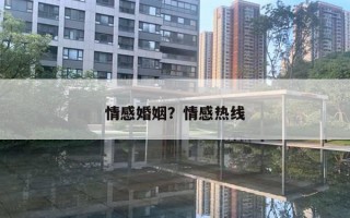 情感婚姻？情感熱線