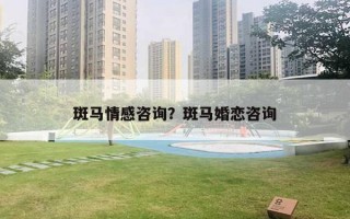 斑馬情感咨詢？斑馬婚戀咨詢