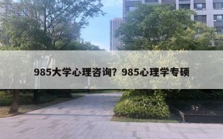 985大學(xué)心理咨詢？985心理學(xué)專碩