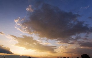 關(guān)于孫曉菁重生文挽回嚴(yán)格的信息